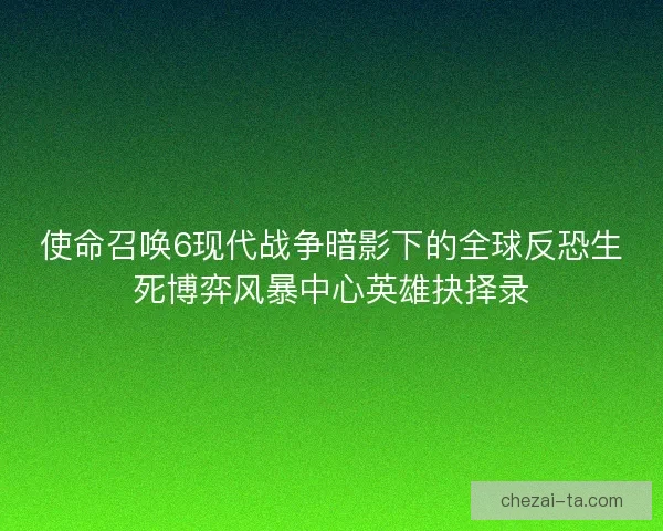 使命召唤6现代战争暗影下的全球反恐生死博弈风暴中心英雄抉择录
