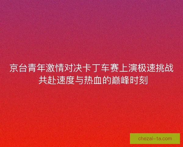 京台青年激情对决卡丁车赛上演极速挑战 共赴速度与热血的巅峰时刻