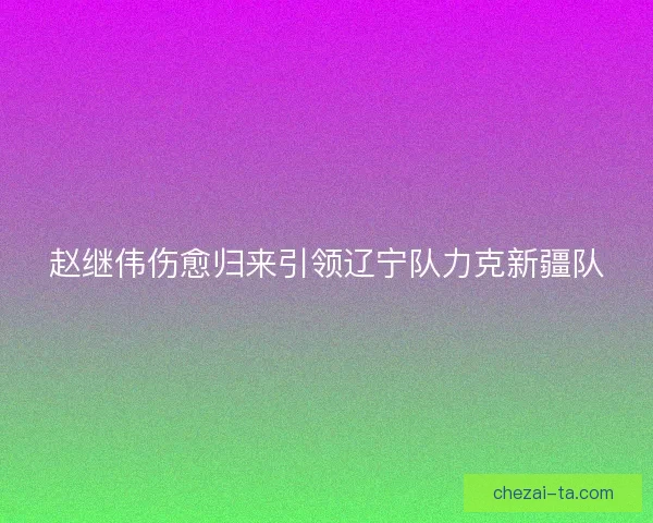 赵继伟伤愈归来引领辽宁队力克新疆队